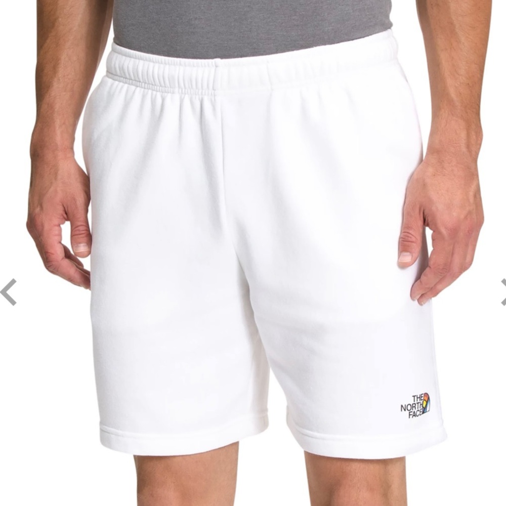 NWT The North Face Men’s Never Stop Pride Shorts